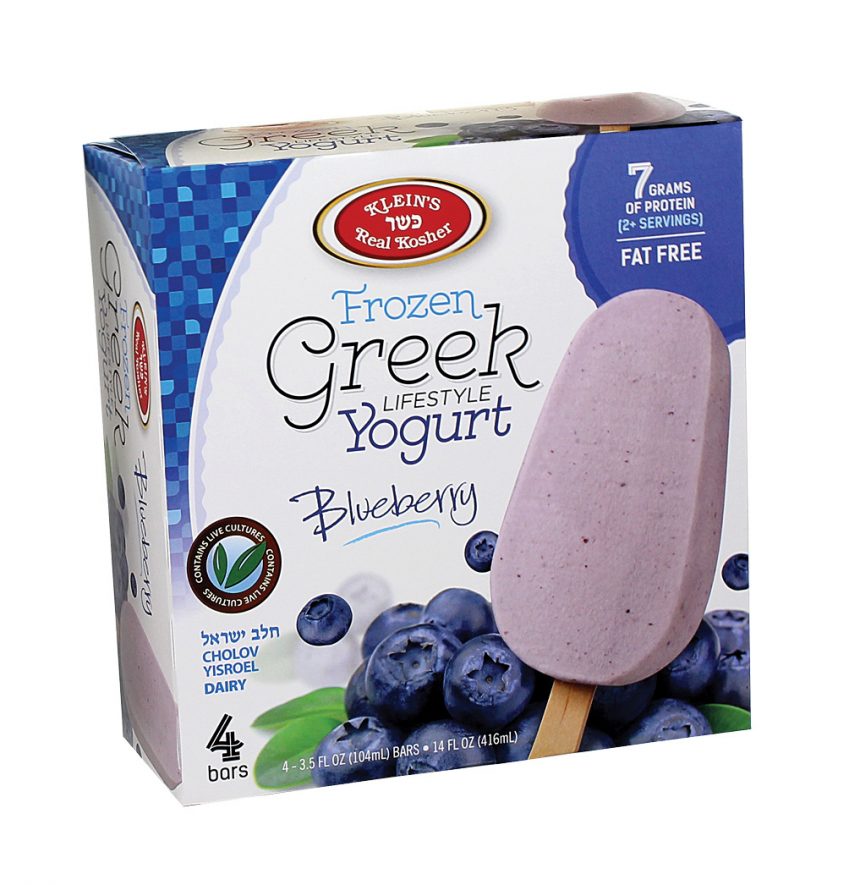 Greek Blueberry Yogurt Kosher Ice Cream