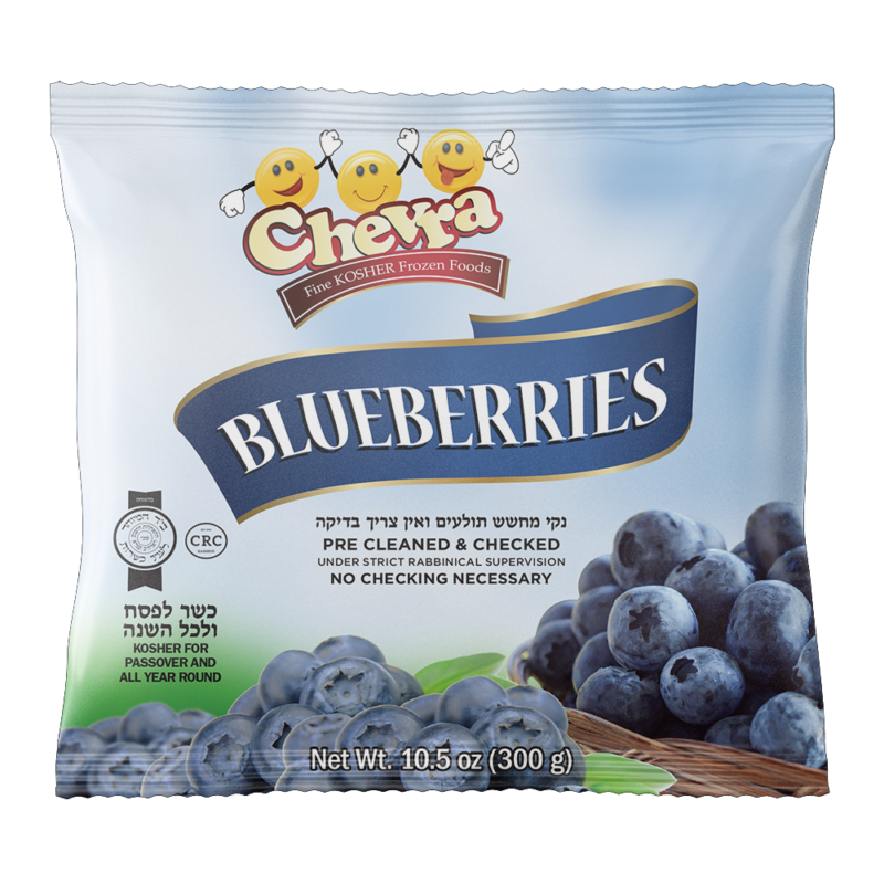 Blueberries Kosher Ice Cream