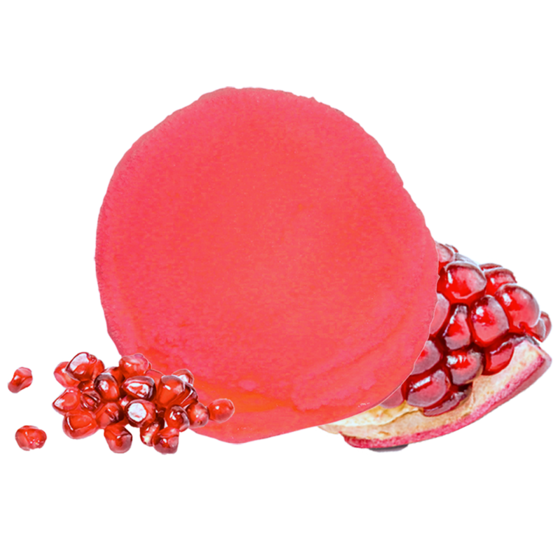 Pomegranate Premium Sorbet Kosher Ice Cream